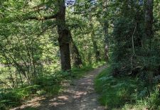 Découverte de hameaux via la rivière – Saint André de Najac