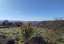 Boucle du village – Saint André de Najac