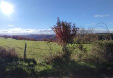 Les moulins du Moulinet et de Bouscal – Saint André de Najac
