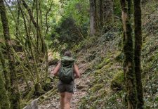 Etape Laguépie – Najac le long des gorges de l&rsquo;Aveyron  – Aller en train et retour à pied