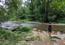 Etape Laguépie – Najac le long des gorges de l&rsquo;Aveyron  – Aller en train et retour à pied