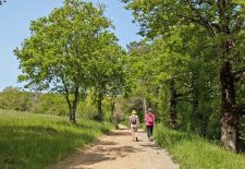 Etape Salles Courbatiès – Villeneuve d’Aveyron GR®62B – Chemin de Conques à Toulouse