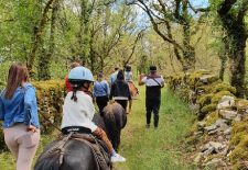 Ferme équestre Chez Maiwenn – Poney et Chevaux