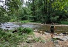 Etape Najac – Laguépie GR®36 – Chemin de Conques à Toulouse