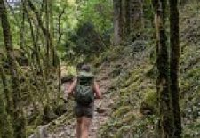 Etape Najac – Laguépie GR®36 – Chemin de Conques à Toulouse