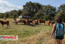 Etape Peyrusse le Roc – Salles-Courbatiès GR®62B – Chemin de Conques à Toulouse