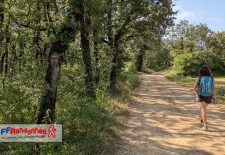 Etape Peyrusse le Roc – Salles-Courbatiès GR®62B – Chemin de Conques à Toulouse