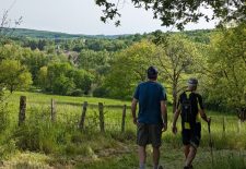 Etape Peyrusse le Roc – Salles-Courbatiès GR®62B – Chemin de Conques à Toulouse