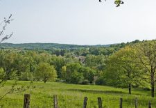 Etape Peyrusse le Roc – Salles-Courbatiès GR®62B – Chemin de Conques à Toulouse