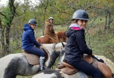 Ferme équestre Chez Maiwenn – Poney et Chevaux