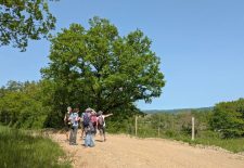 Etape Peyrusse le Roc – Villeneuve d&rsquo;Aveyron GR 62 B – Chemin de Conques à Toulouse