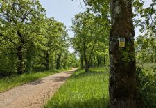Etape Peyrusse le Roc – Villeneuve d&rsquo;Aveyron GR 62 B – Chemin de Conques à Toulouse