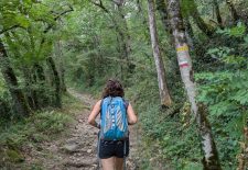 Etape Najac – Laguépie GR 36 – Chemin de Conques à Toulouse