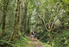 Najac, un village perché