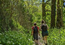 Najac, un village perché