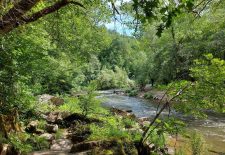 Le petit tour de Mergieux, circuit n°7 – Najac