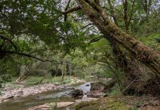 Le petit tour de Mergieux, circuit n°7 – Najac