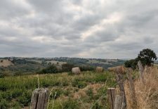 Le petit tour de Mergieux, circuit n°7 – Najac