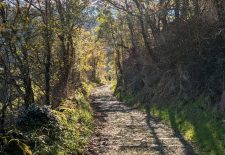 Le Boï  – Villefranche-de-Rouergue