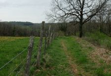 Circuit de Puech Pauvret – Saint-Rémy