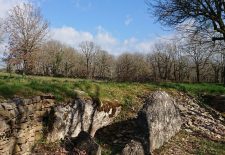 Le Tombeau du Géant – Villeneuve d&rsquo;Aveyron