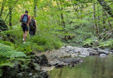 Les gorges de la Doulouze – Morlhon Le Haut