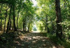 Circuit « lou camin vielh » – Martiel