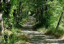 Circuit « lou camin vielh » – Martiel