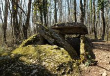 Circuit des dolmens de Martiel