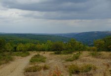 Sentier des Garrigues – Monteils