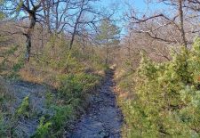 Sentier des Garrigues – Monteils