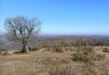 Sentier des Garrigues – Monteils