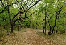 Sentier de Fontaliès-Le Bosc – Monteils