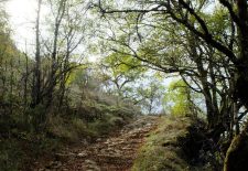 Sentier ENS de la Lande de la Borie – La Rouquette