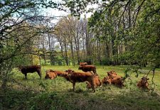 La petite boucle d’Arcanhac – La Fouillade