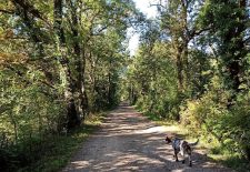 La petite boucle d&rsquo;Arcanhac – La Fouillade