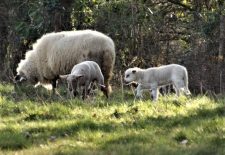 La Grande boucle d&rsquo;Arcanhac – La Fouillade