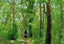 Le lac de Saubayre – La Fouillade