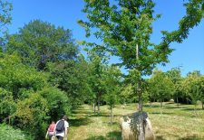 Le lac de Saubayre – La Fouillade
