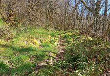 Longcol et sa vallée – La Fouillade