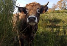 Le Long de la Serène – La Fouillade