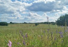 Les Mas du Causse – La Capelle Balaguier