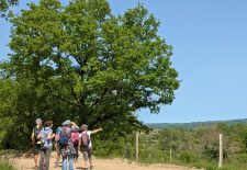 Sentier ENS du Marais de Montaris – Salles Courbatiès