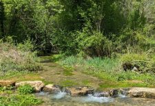 Sentier ENS du Marais de Montaris – Salles Courbatiès