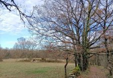 Le chemin des caselles – Villeneuve d&rsquo;Aveyron