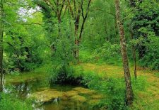 Découverte des dolmens du Quercy – Laramière