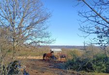 Circuit des Encastrades – Villeneuve d&rsquo;Aveyron