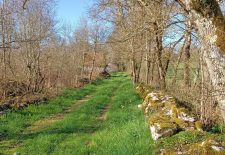 Les Tioulières – Ambeyrac