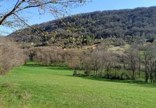 De la vallée au Causse – Variante courte – Ambeyrac