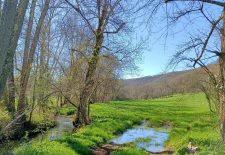De la vallée au Causse – Variante courte – Ambeyrac